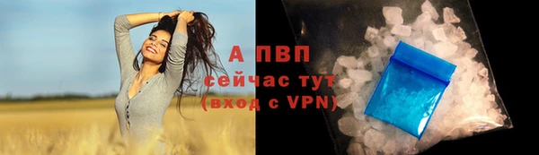 эйфоретик Вяземский