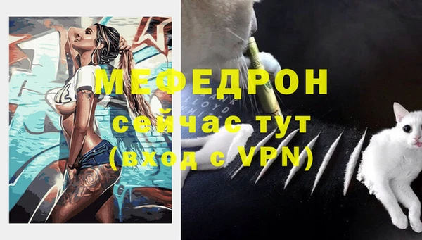 эйфоретик Вяземский