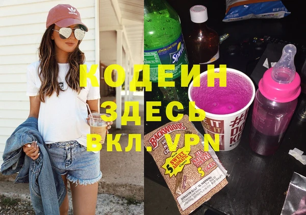 эйфоретик Вяземский