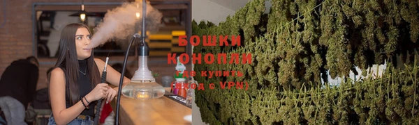 ГАЛЛЮЦИНОГЕННЫЕ ГРИБЫ Володарск